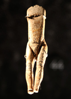 Vénus impudique -Musée de l'Homme - Paris