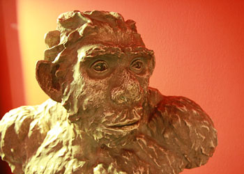 Buste de Neandertal ou Homo mousteriensis - Platre de 1923