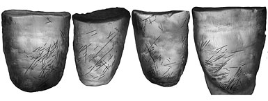 Stries d'usure sur les dents de Néandertal Regourdou 1