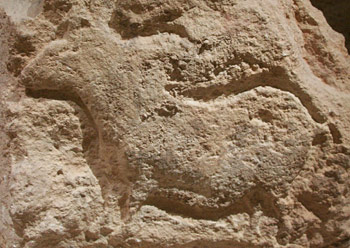 Roc de sers