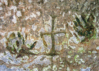 Croix gravée dans la Roque Saint Christophe