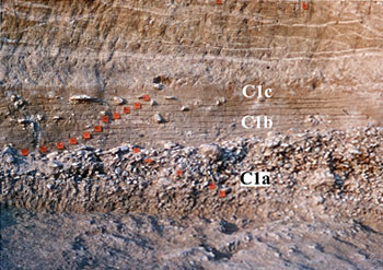 Stratigraphie de Terra Amata 