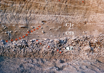 Stratigraphie de Terra Amata