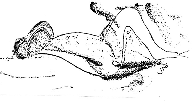 Femme Gravide
