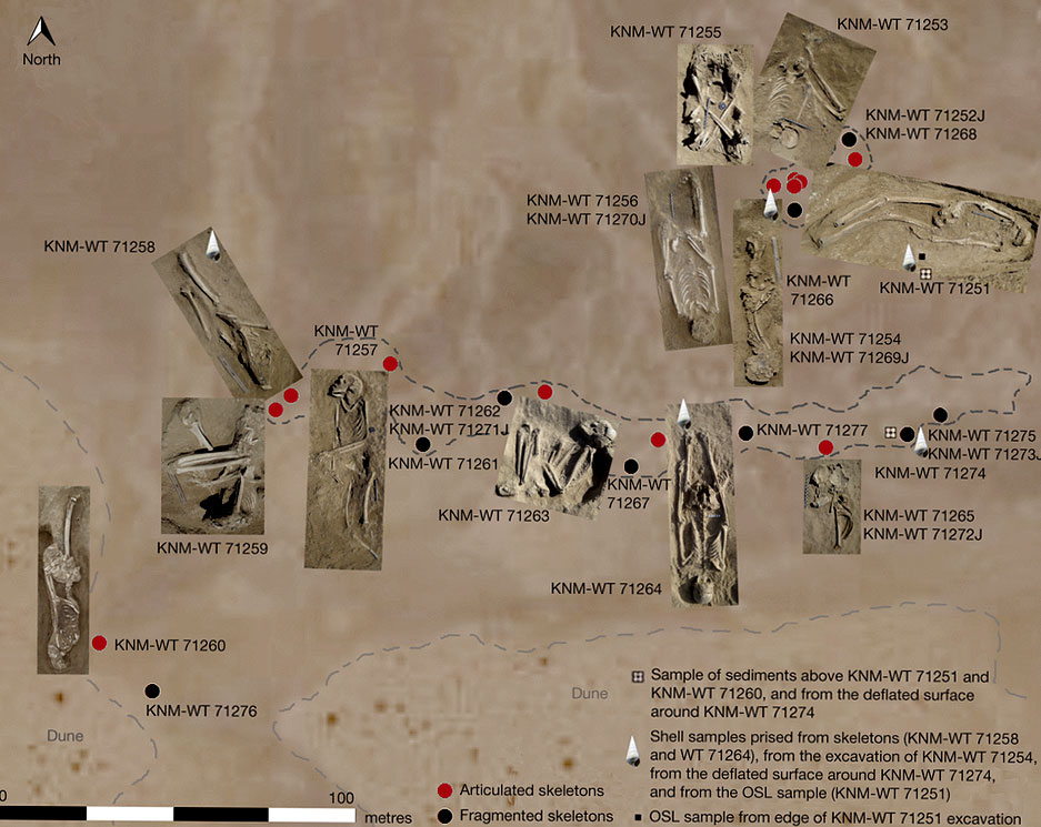 Distribution spatiale des corps