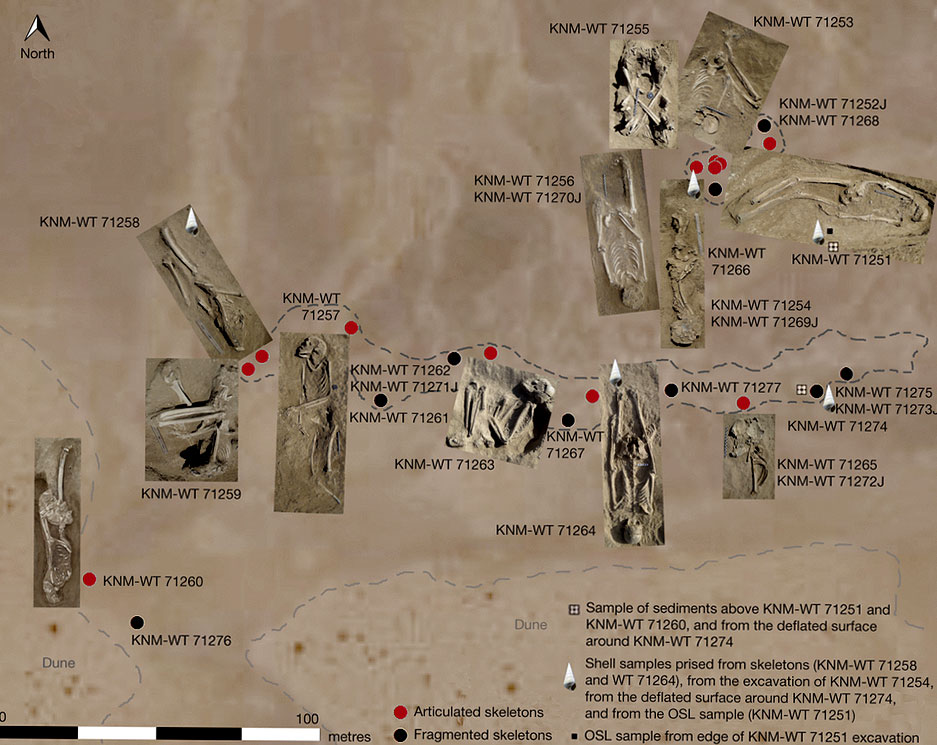 Distribution spatiale des corps