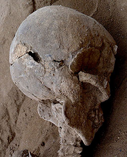 Massacre à la préhistoire il y a 10 000 ans 