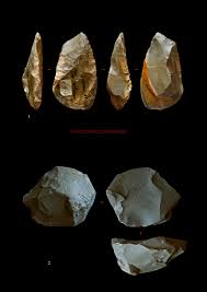 Vestiges moustériens près du cercle arctique : Néandertal ou sapiens ?