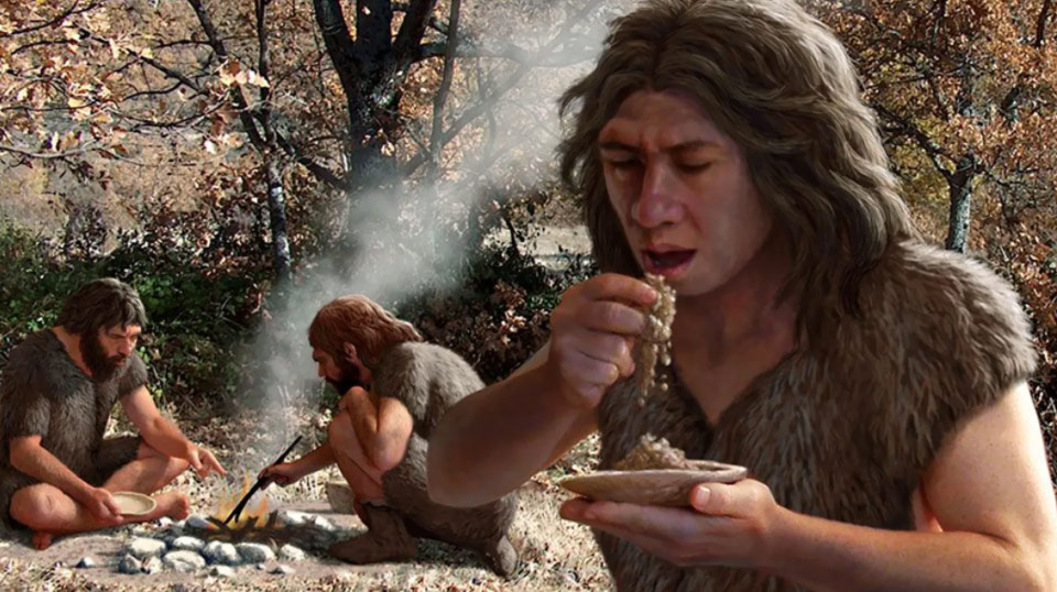 Alimentation à la préhistoire