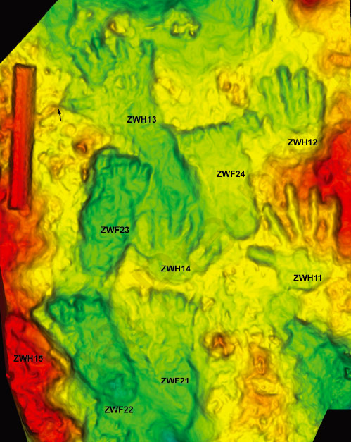 Empreintes 3D des pieds et mains