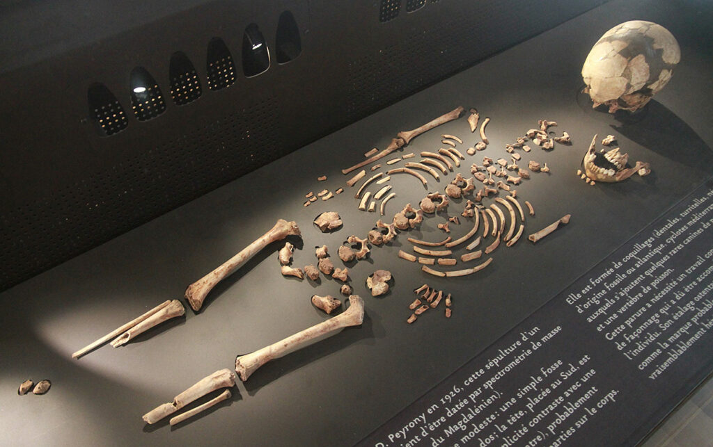 Squelette enfant de la Madeleine