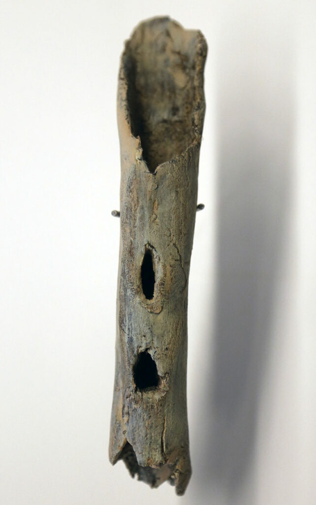 Flute retrouvée sur le site de Prolom II en Ukraine. Datée de 90 000 ans et attribuée à Néandertal.