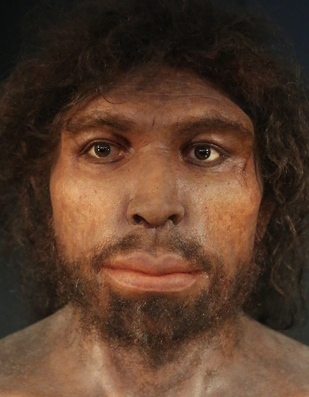 Homo rhodesiensis Face
