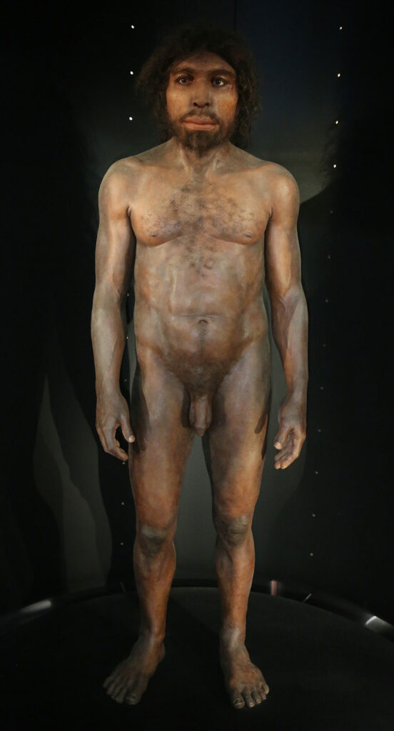 Homo rhodesiensis