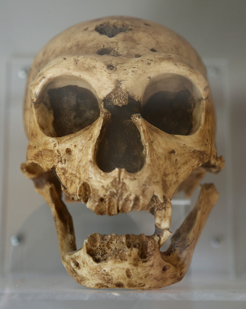 Néandertal La Chapelle-aux-Saints