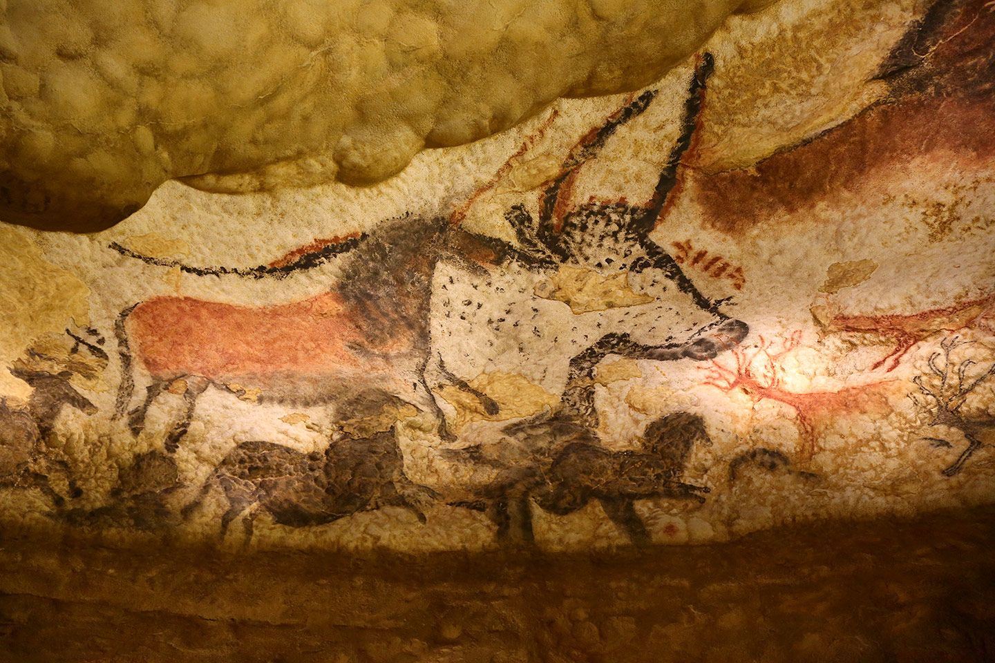 Premier grand Taureau - Lascaux