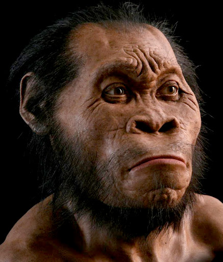 Homo naledi est-il premier partout ? sépulture, gravure, utilisation de lampes , c’est lui ?