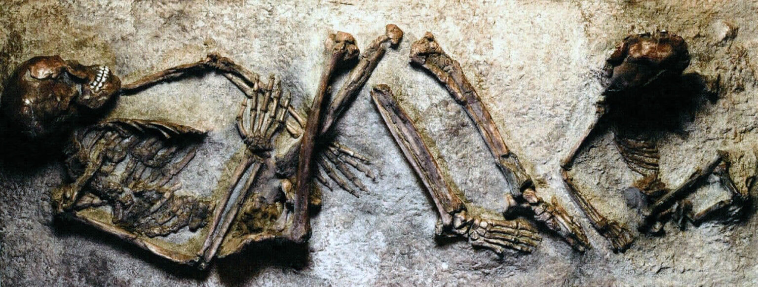 Les premières sépultures de la préhistoire - Hominides
