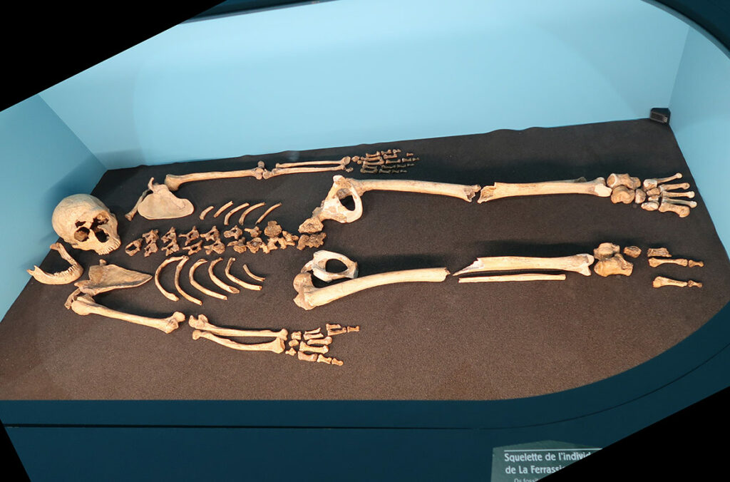 Squelette de Néandertal