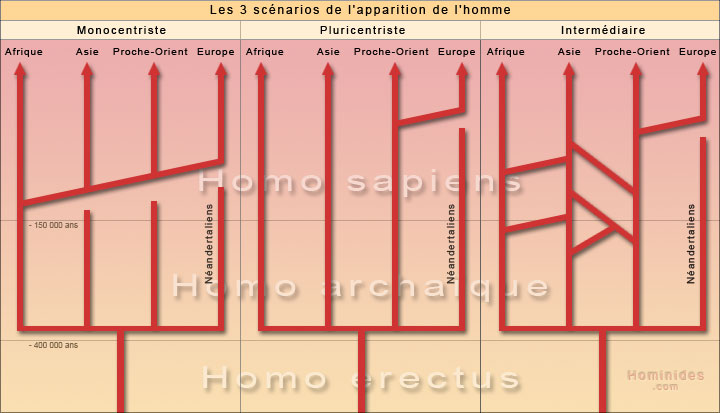 Trois scénarios de l'apparition de l'homme