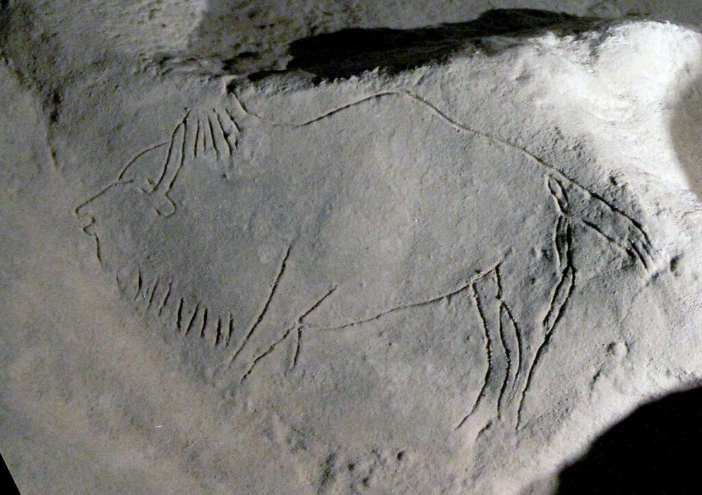 Bison gravé - Grotte de Niaux