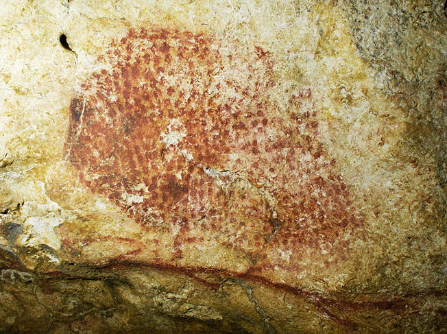 Bison ponctué - Grotte de Marsoulas