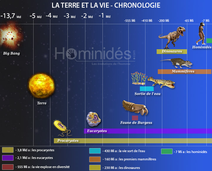 Chronologie de la vie sur Terre