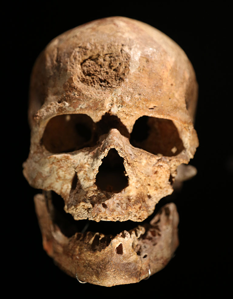 Crâne Cro-Magnon