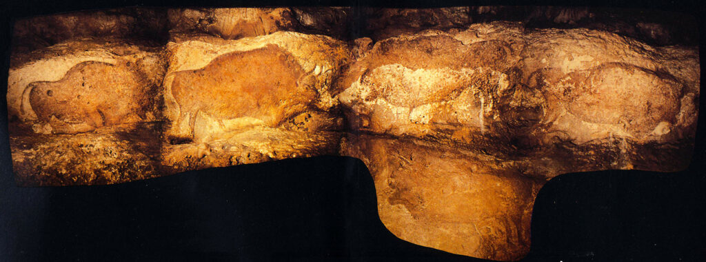 Fraise des bisons - Grotte de Font-de-Gaume