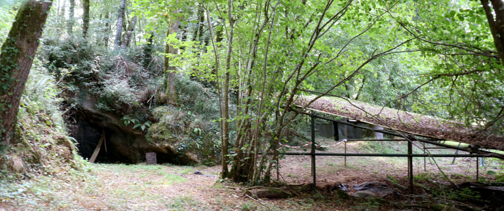 Chantier Grotte du Pape