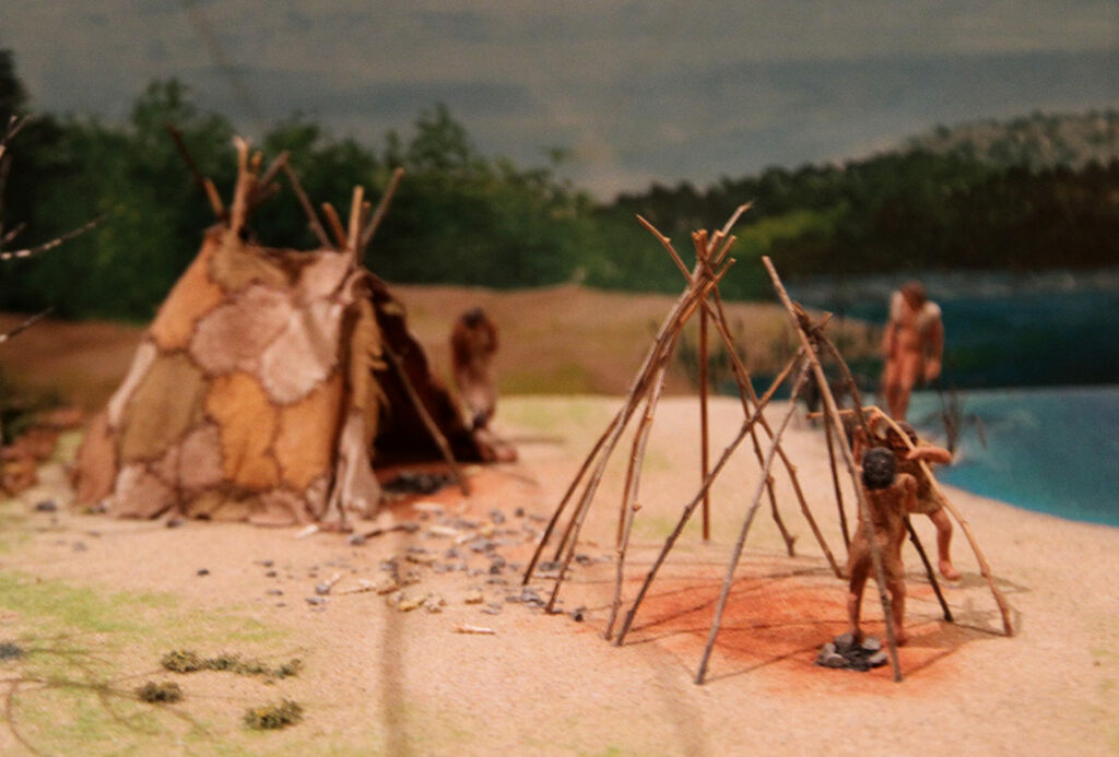 L habitat Au Pal olithique Hominides