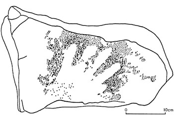 Main négative - Labattut