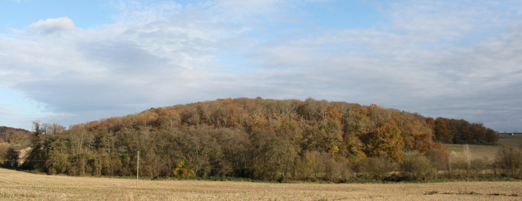 Colline site de Brassempouy