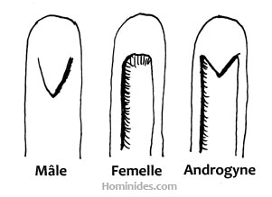 Types de propulseurs