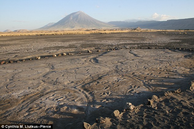 Vue d'ensemble des empreintes de pas dans la plaine - Lac Natron - Enagre Sero