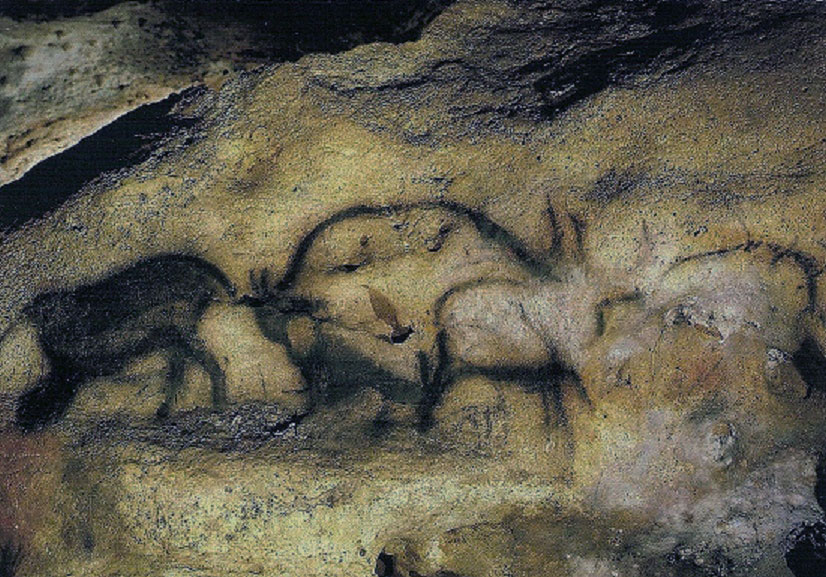 Bison et animaux en noir - Font-de-Gaume