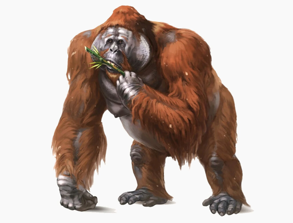 Giganpithecus