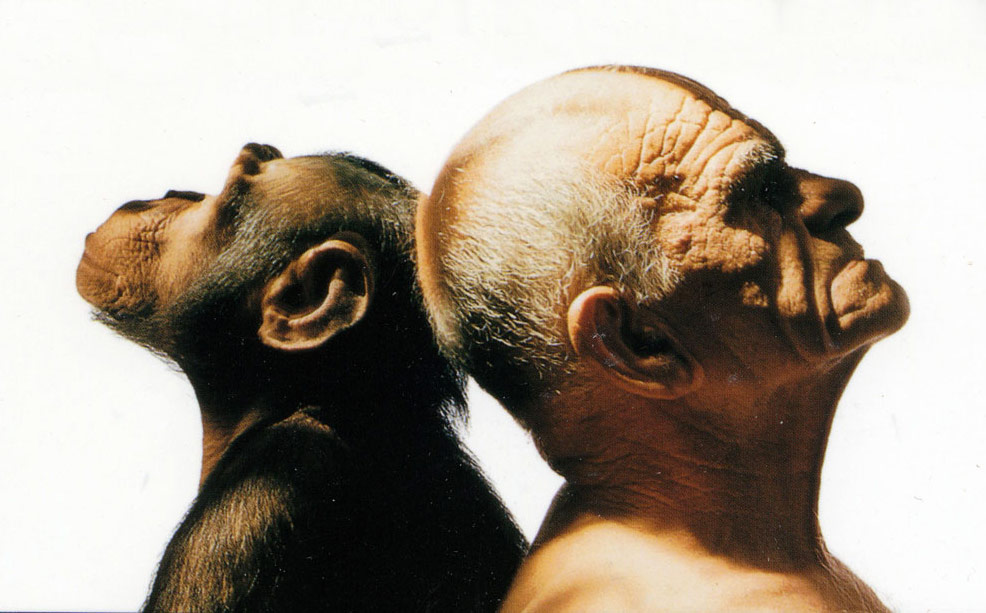 Homme et singe dos à dos
