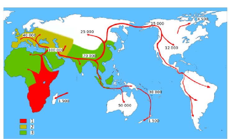 Migrations humaines