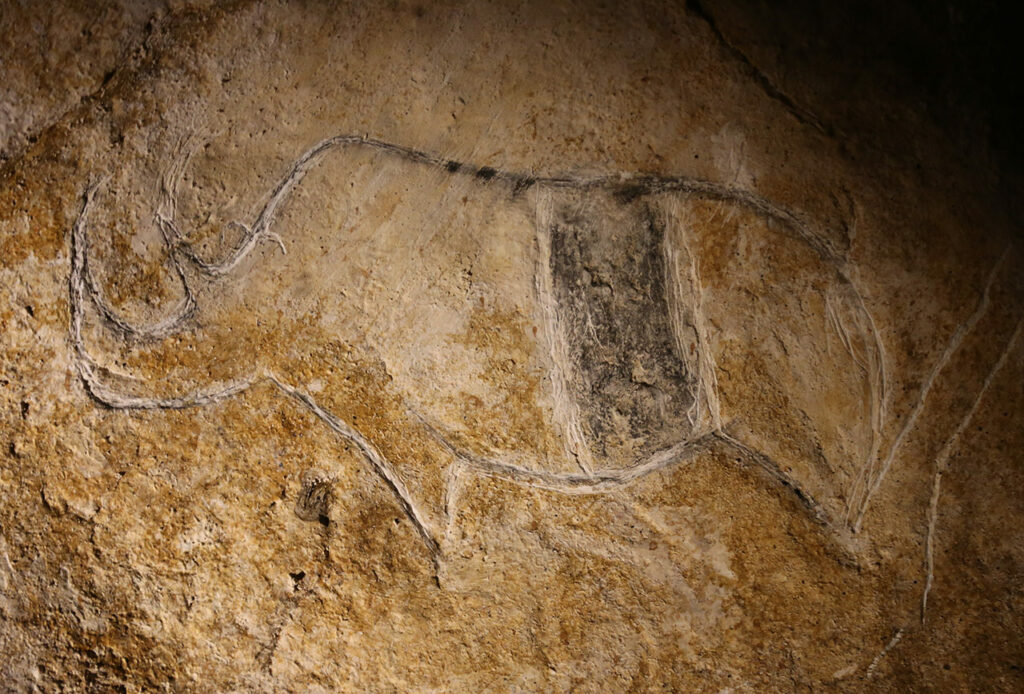 Gravure rhinocéros peinte - Chauvet