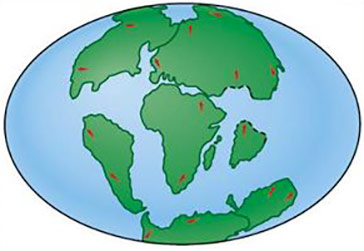 La terre il y a 65 millions d'années