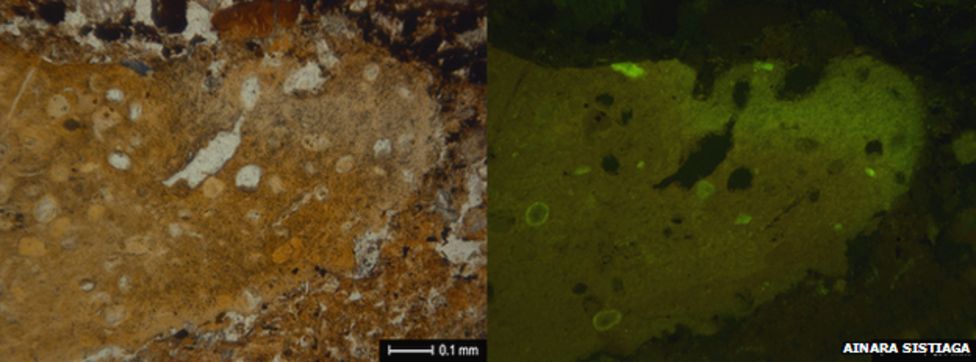 Coprolithes Néandertal