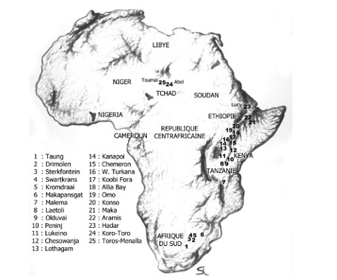Cartes homininés en Afrique