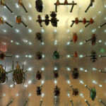 Insectes