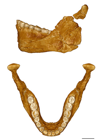 Mandibule Jebel Irouhd 11