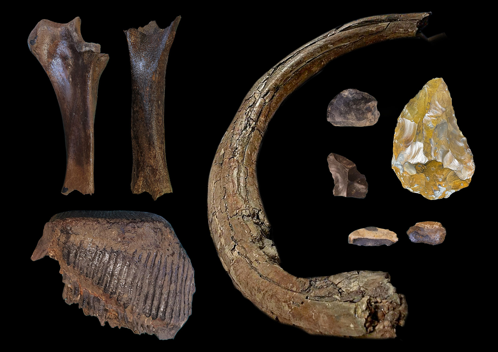 Des mammouths et des néandertaliens en Angleterre il y a 210 000 ans ?