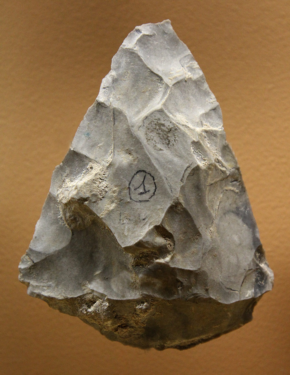 Moustérien Hominides