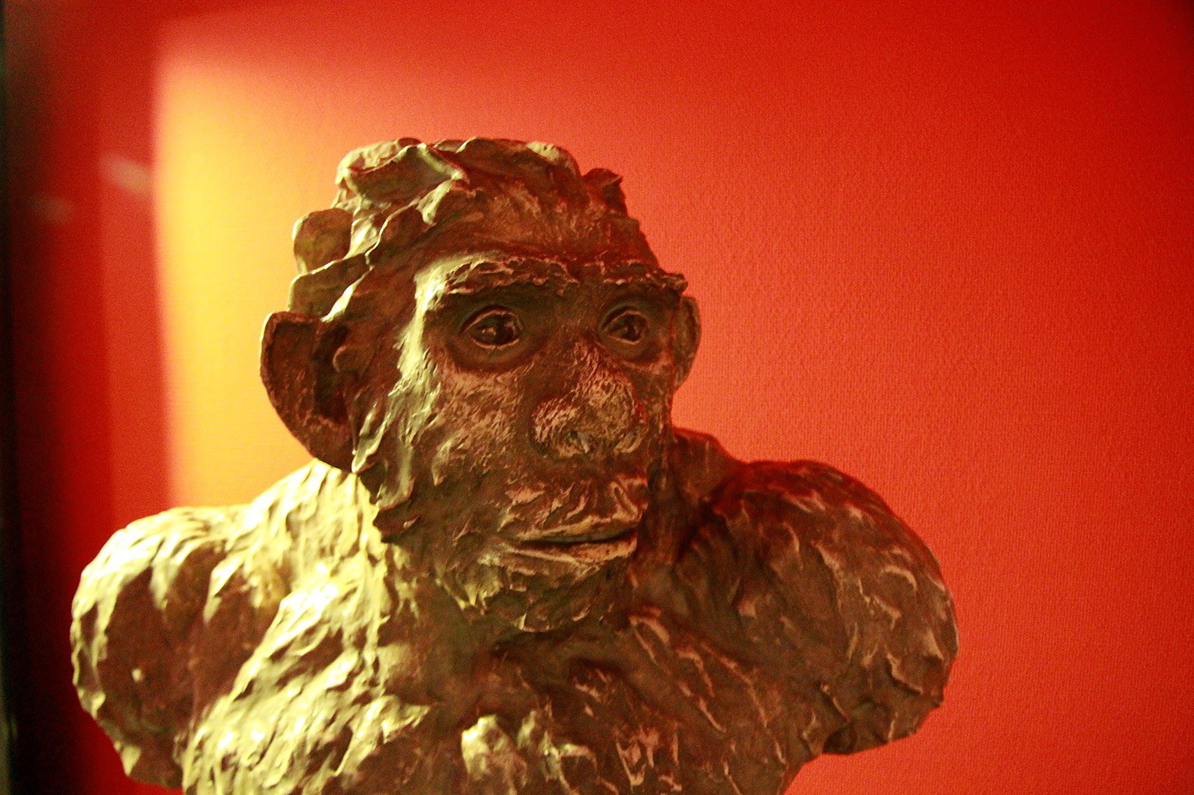 Buste Néandertal 1923