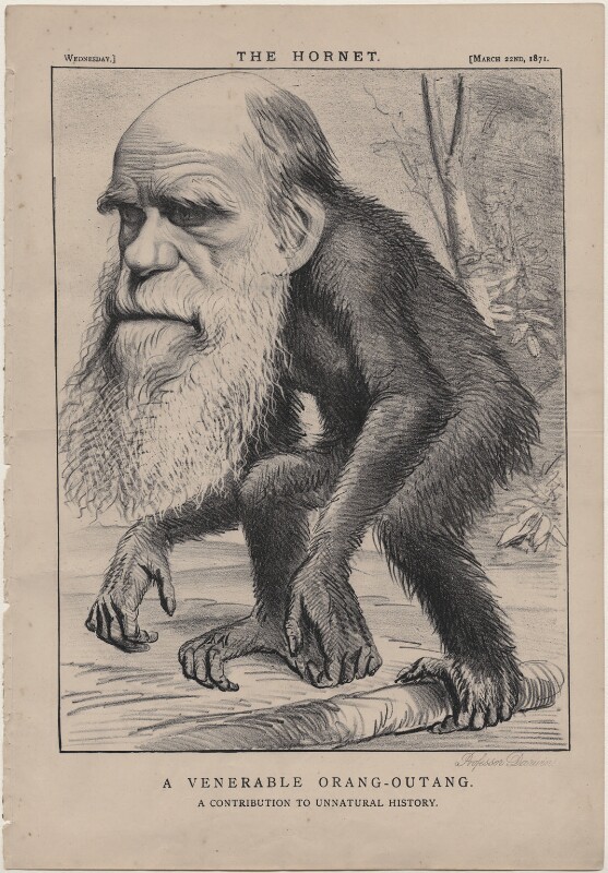 Charles Darwin caricaturé