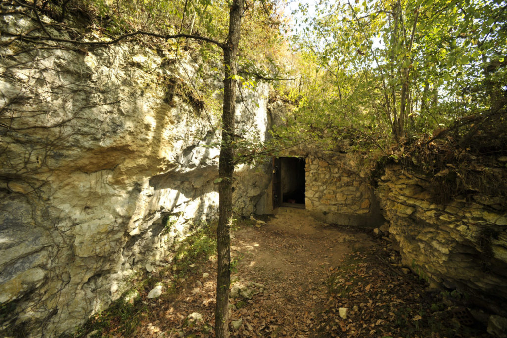 Entrée Grotte Marsoulas